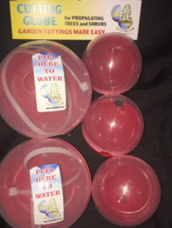 Cutting Globe 5 pk