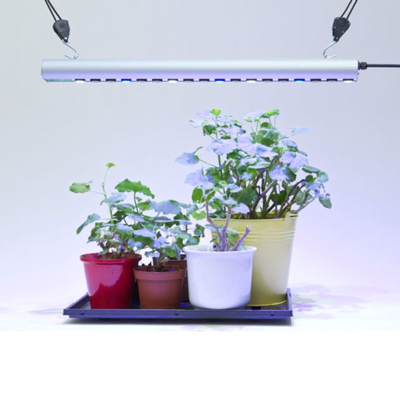 LED-vekstlys 35 W Quattro