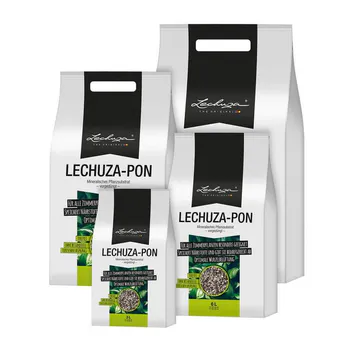Hovedbilde LechuzaPon