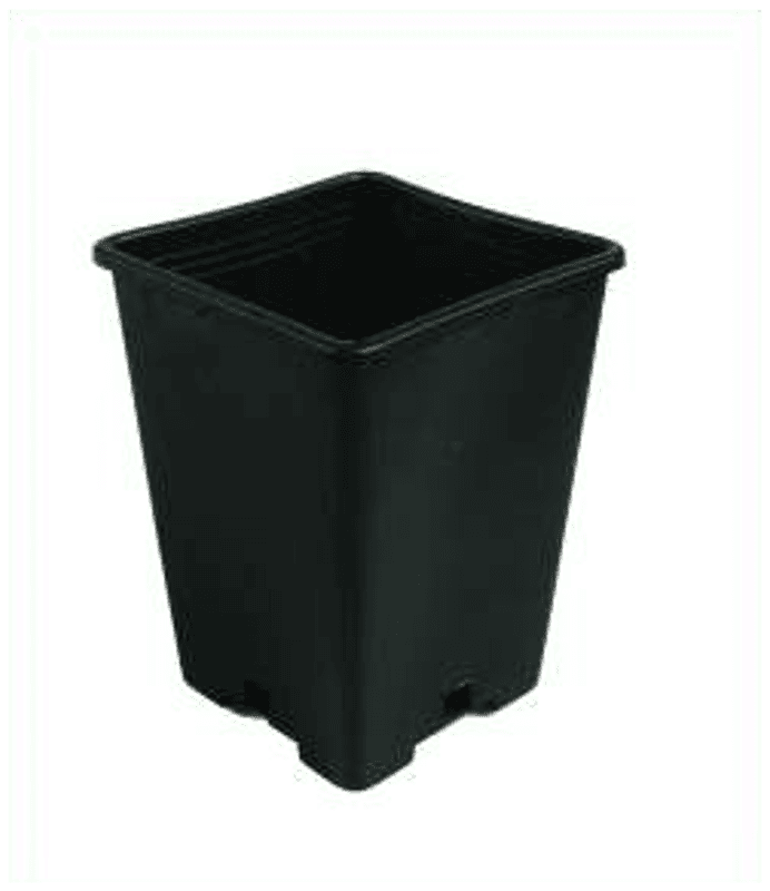 Firkantet potte 2,4 L