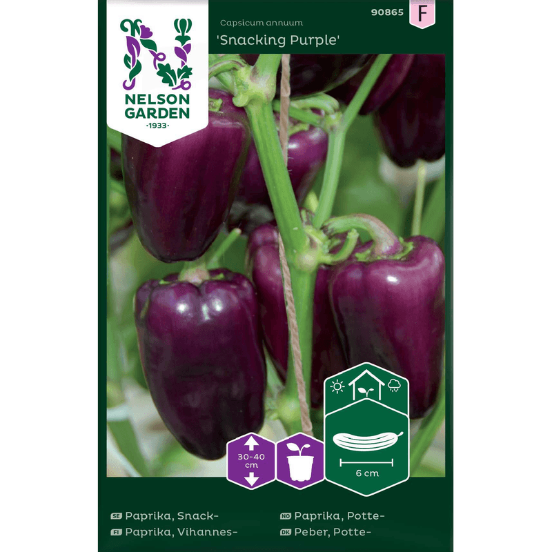 Paprika, Potte- 'Snacking Purple'