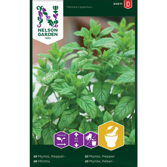 Hovedbilde Mynte, Pepper-