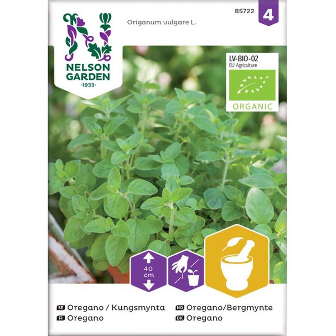 Hovedbilde Oregano/Bergmynte