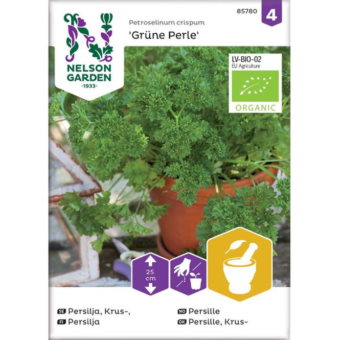 Hovedbilde Persille 'Grüne Perle'