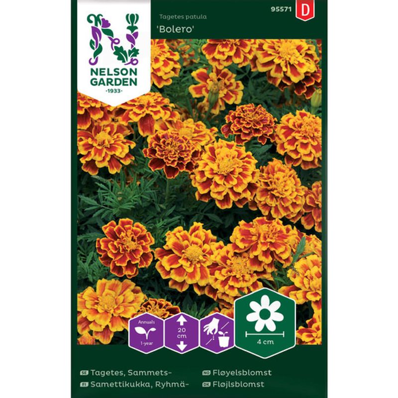 Fløyelsblomst, 'Bolero'