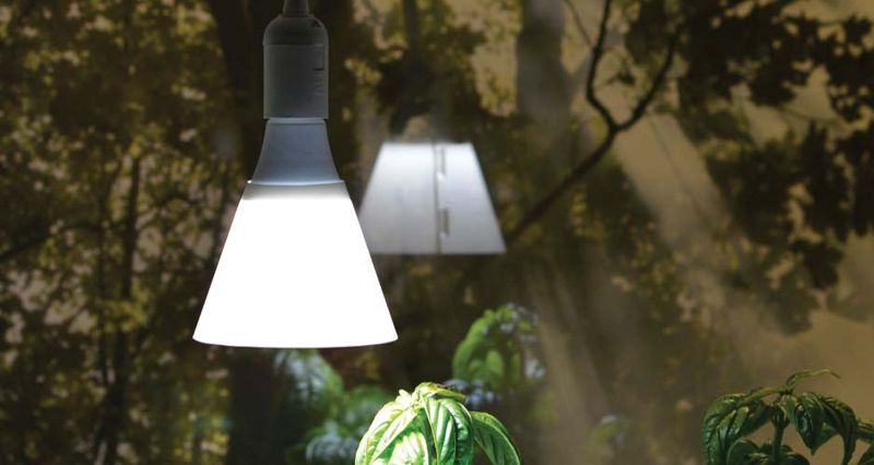Plantelys LED-pære 15 W E27-sokkel