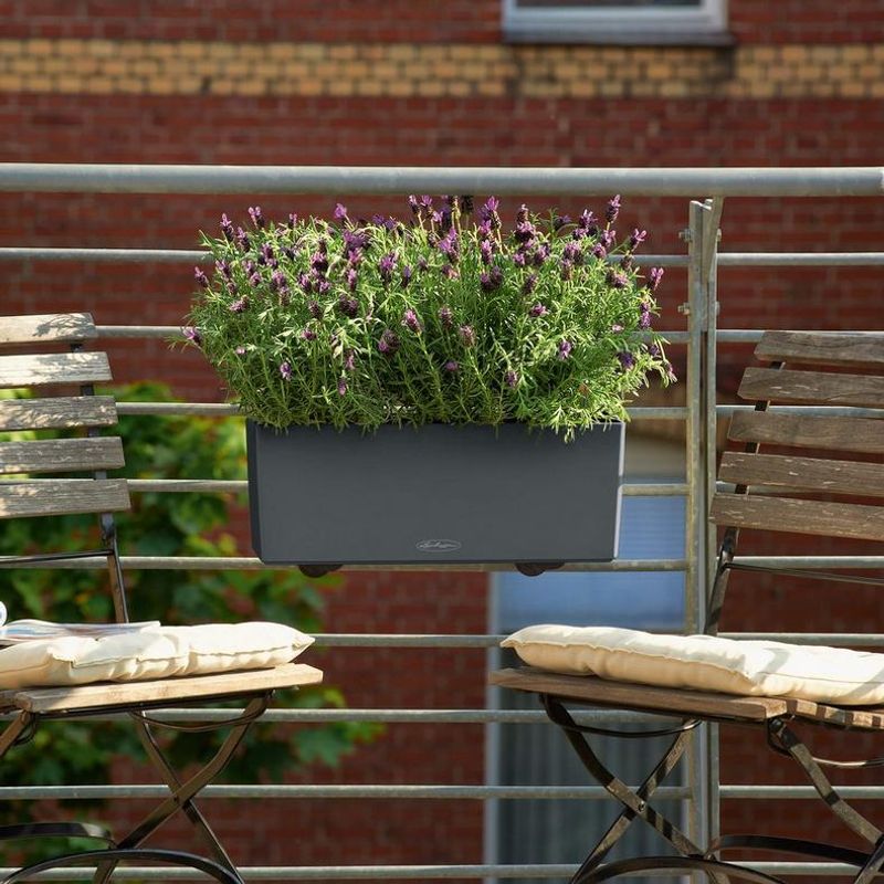 Balconera Color 50 'Light Grey', Lechuza Balkongkasse