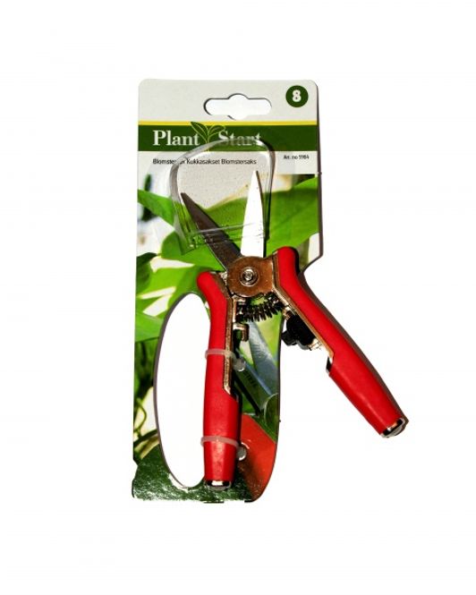 Hovedbilde Blomstersaks rett