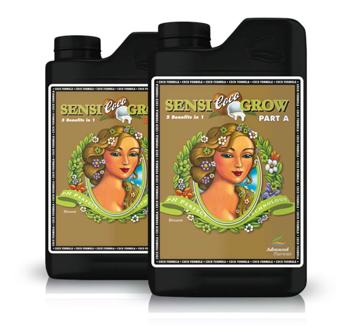 Sensi Coco Grow A+B 1 L, Advanced Nutrients