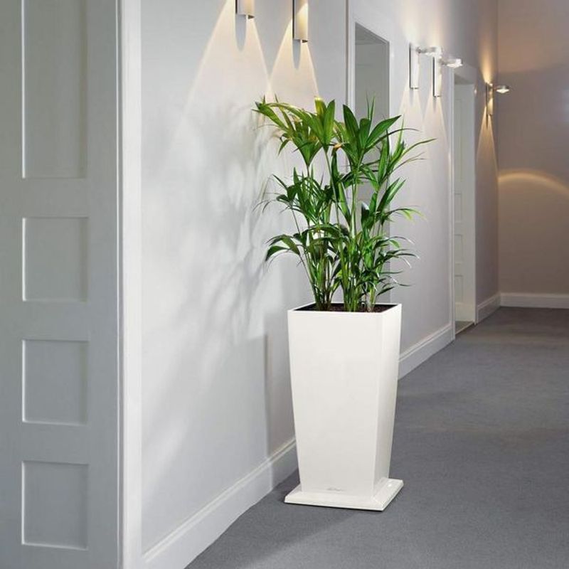 Cubico 30 Coaster White, potteunderlag på hjul, Lechuza