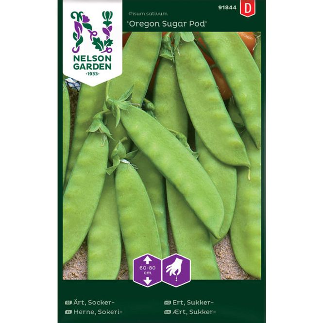 Hovedbilde Ert, Sukker- 'Oregon Sugar Pod'