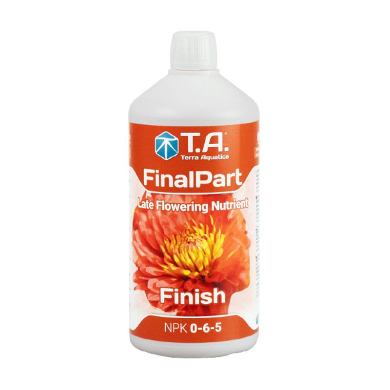 T.A. FinalPart 5 L