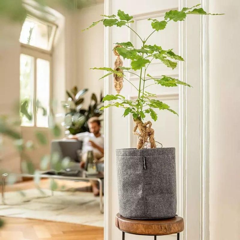 Trendcover 32, Lechuza Selvvanningspotte