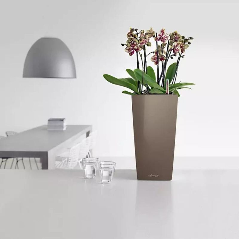Cubico Premium 22, Lechuza blomsterpotte